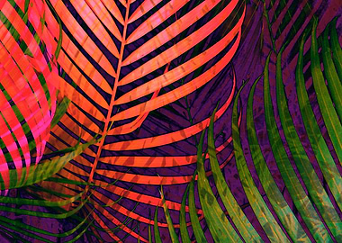 COLORFUL TROPICAL LEAVES no5