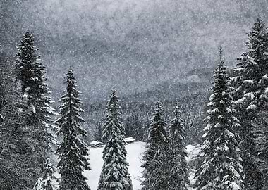 Bavarian Winter's Tale I