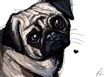 The Pug of my life