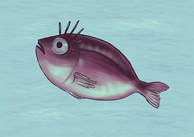 Funny Fish With Fancy Eyelashes