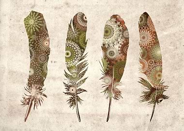 feathers mandala vintage