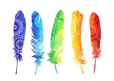 feathers mandala colorful