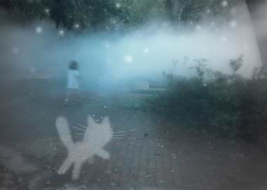 Girl in the magic mist