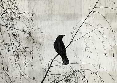 Crow and Willow