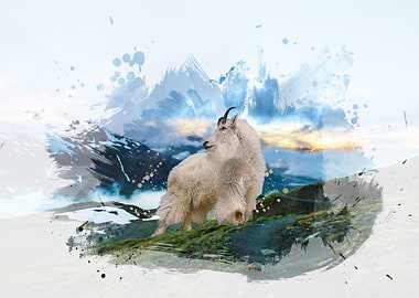 King Of The Mountain