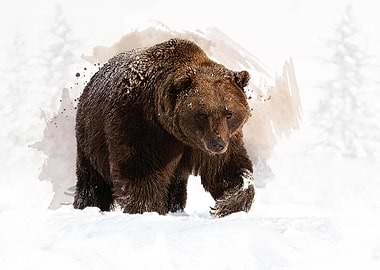 Ready For Hibernation