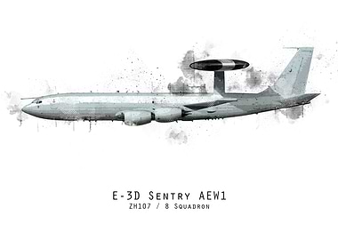 E-3D Sentry