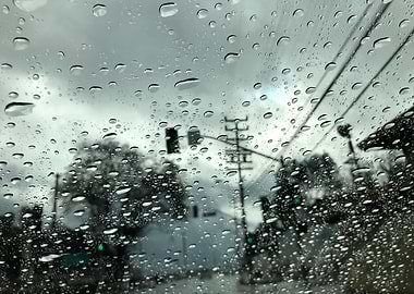 Rainy LA