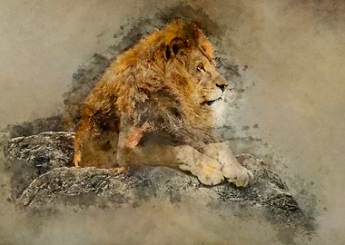 Digital painting of big lion on the rocks
