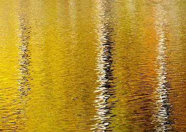 Lines of Reflection Abstract