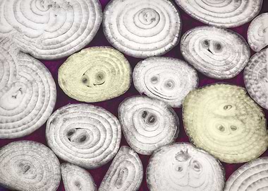 Sliced onions