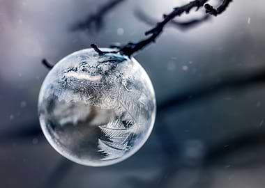 Frozen soap bubble on the branch