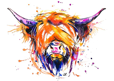 Scottish Highland Cow