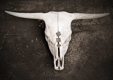 Sepia Cattle Skull on Ston