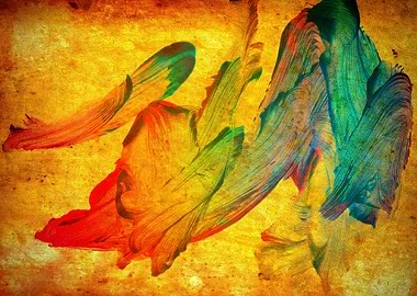 Anna's Bird Of Paradise