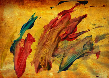 Anna's Bird with Red Beak