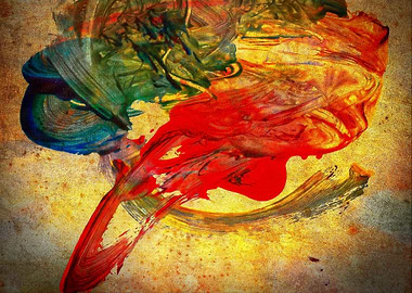 Anna's Bird Squabble