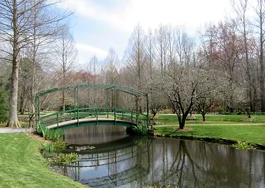Reflective Pond