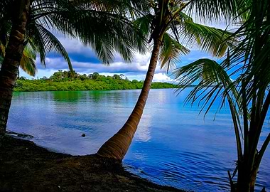 Palm Beach @ Bocas del Toro