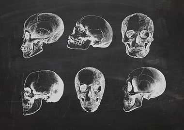 Blackboard skulls