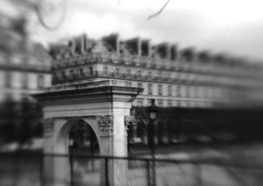 Misty in the Tuileries