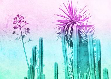 Mexican cactus plants