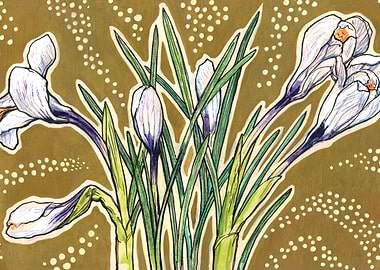 Crocuses