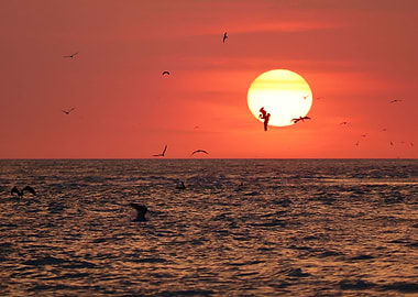 'Pelican Sunset'