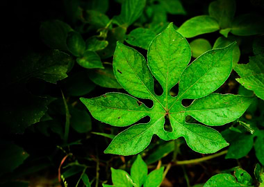 You always have a choice - Think differently