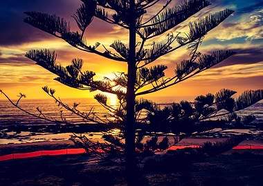 Watching the sun rise.