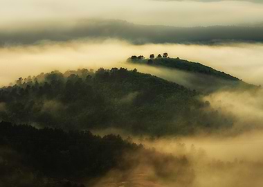 Calmness of Provence