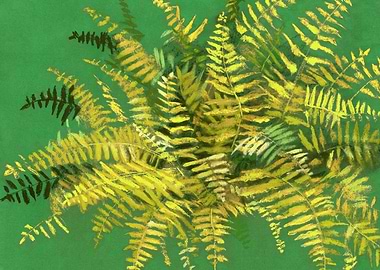 Fern, Green & Yellow