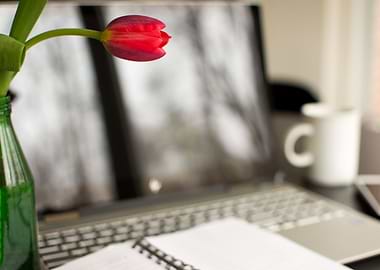 Creativity Peaceful Work