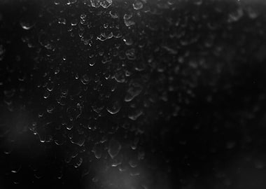 Rain droplets