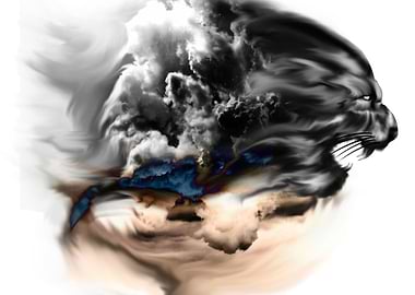 a panter on the clowds