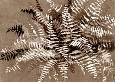 Fern, sepia version