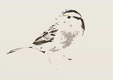 The Original Minimalist Sparrow on a candy color