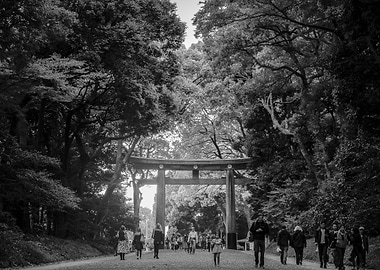 Meiji Shrine
