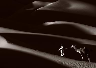Monochromatic Liwa Dunes