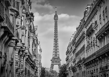 Parisian Flair monochrome