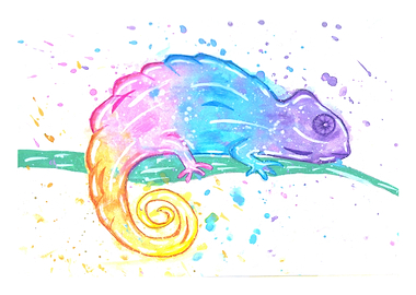 Colourful Chamaleon.