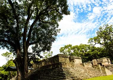 Campo de Pelota. Copán Ruinas