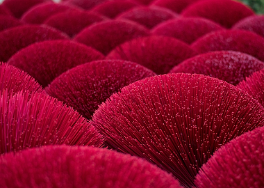 Can Tho Incense Village