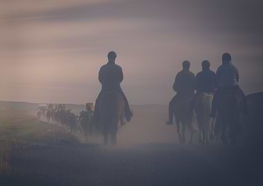 Horse back riding in Iceland