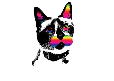 Rainbow kitty