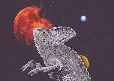 Love the space animals