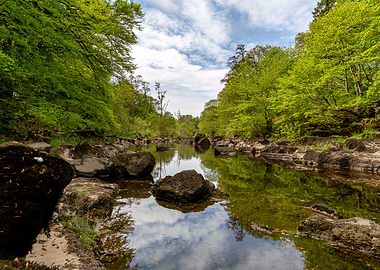 River Tay Fishing