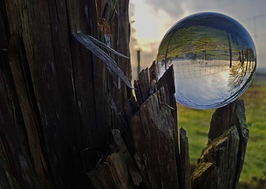 Future-Telling at Dunstable D