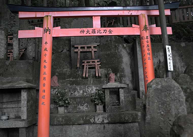 Torii
