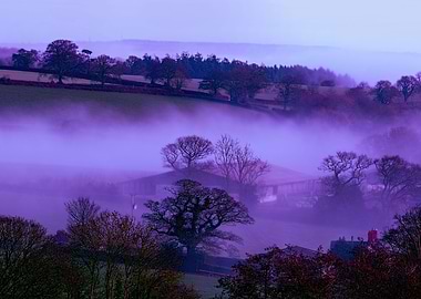 Devon Fog 27